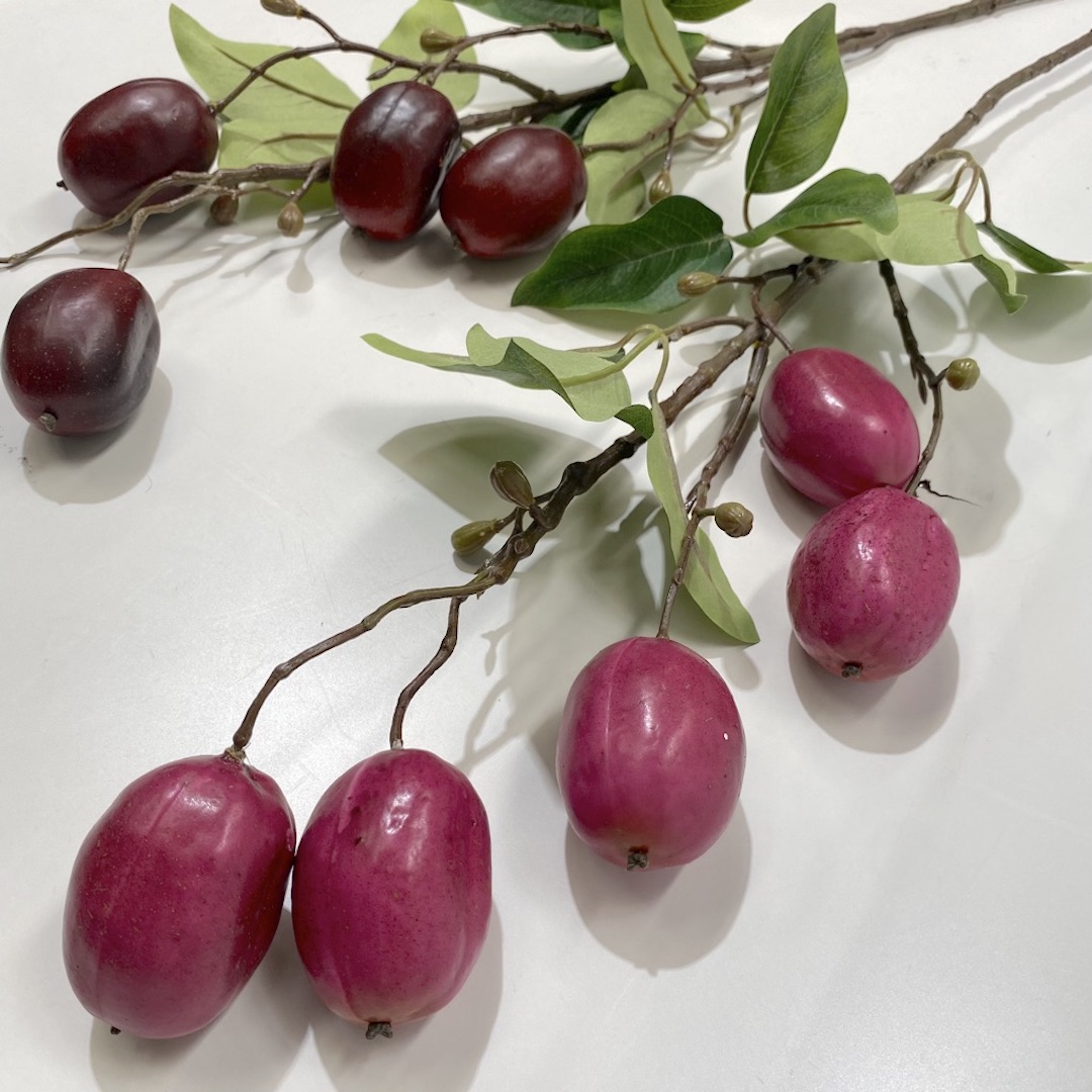 FOLIAGE, Spray w Large Plum Like Fruits